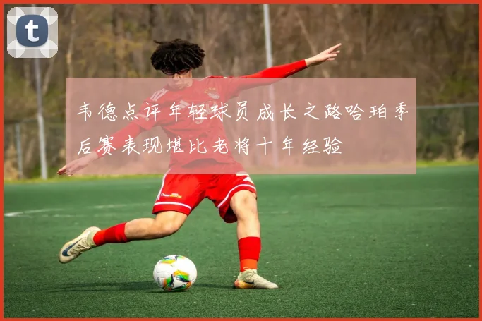 韦德点评年轻球员成长之路哈珀季后赛表现堪比老将十年经验
