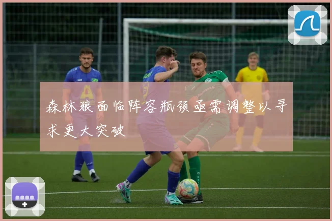 森林狼面临阵容瓶颈亟需调整以寻求更大突破